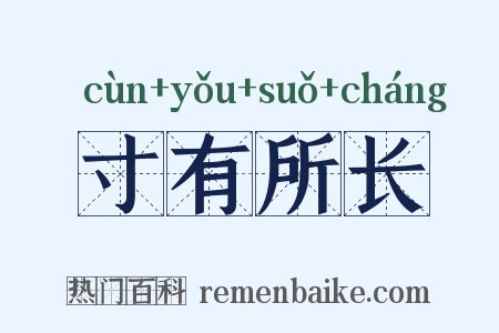 寸有所长是什么意思的图片